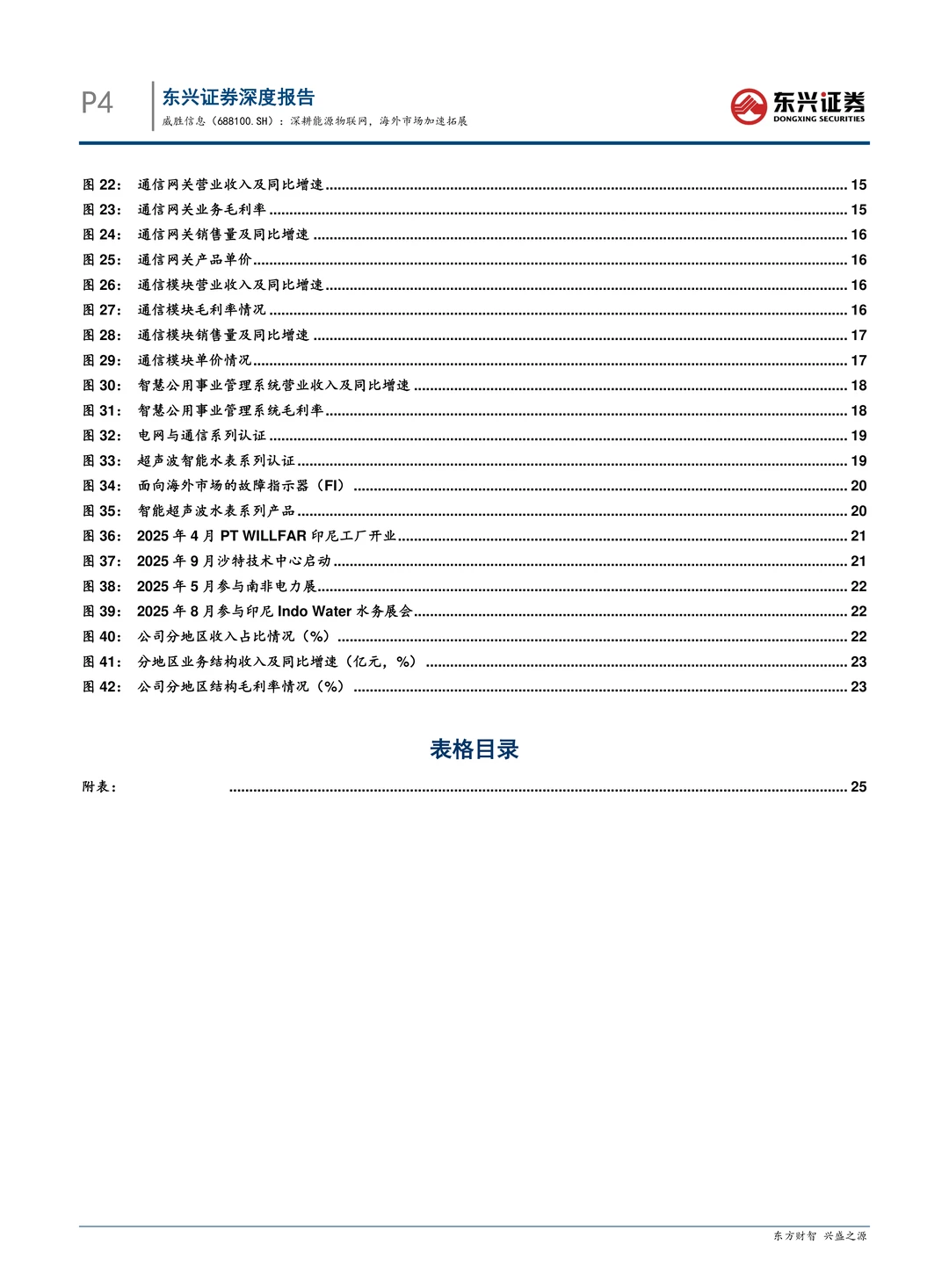 威胜信息-深耕能源物联网海外加速拓展
