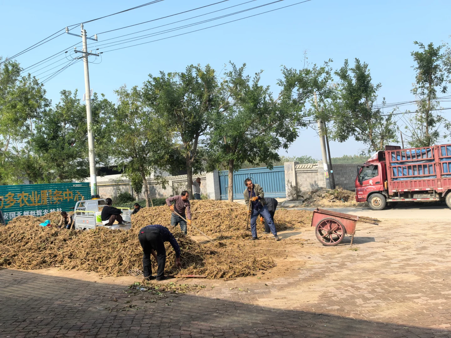 种地让我赚了多少米??