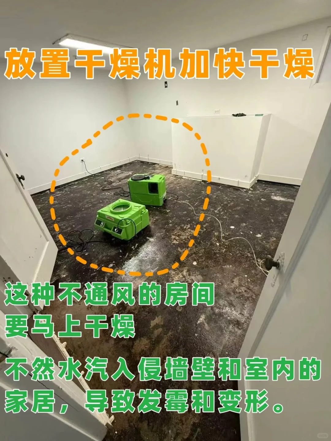 重生记｜地下室变身