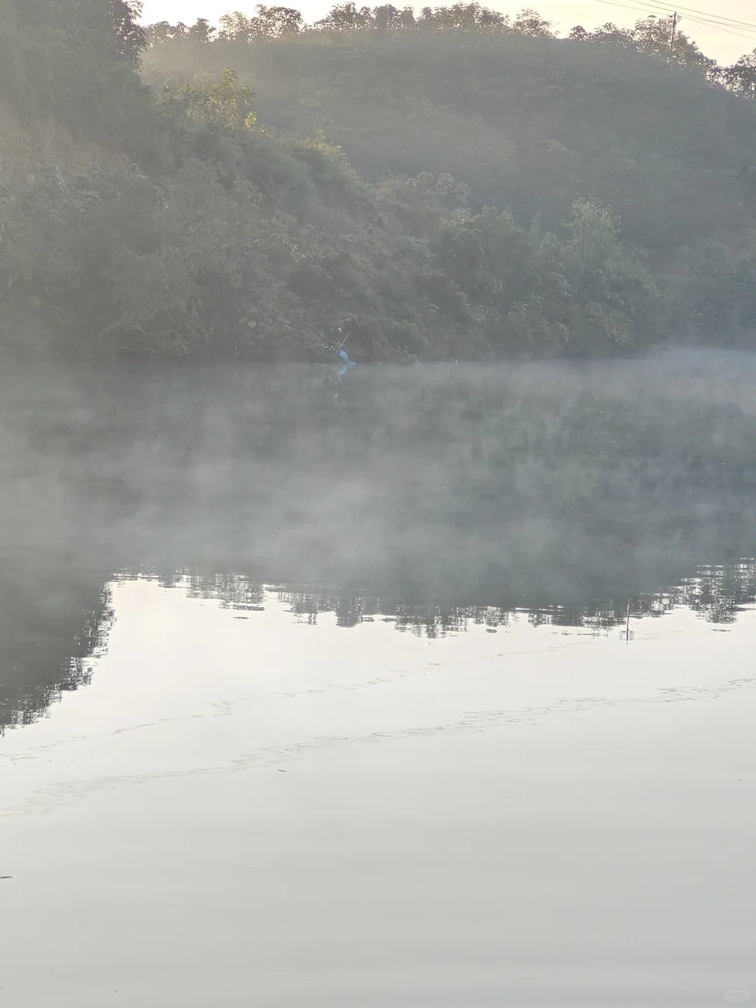 不想在大城市当牛马的我，选择回村种野地瓜