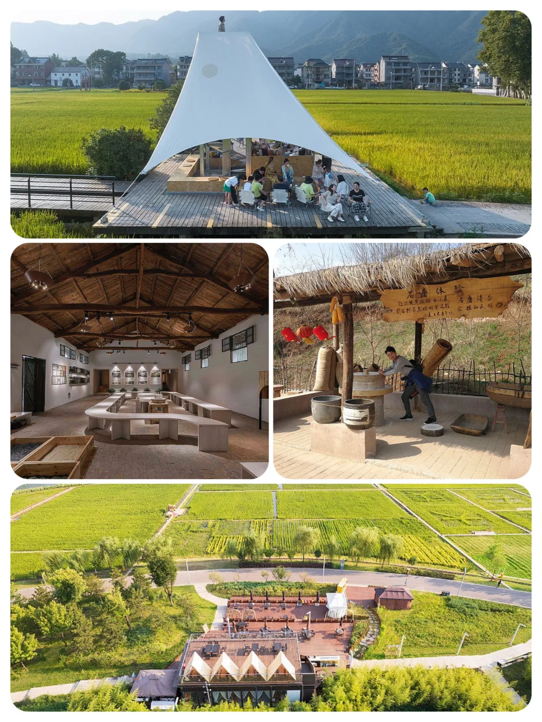 火了很多年的乡村文旅