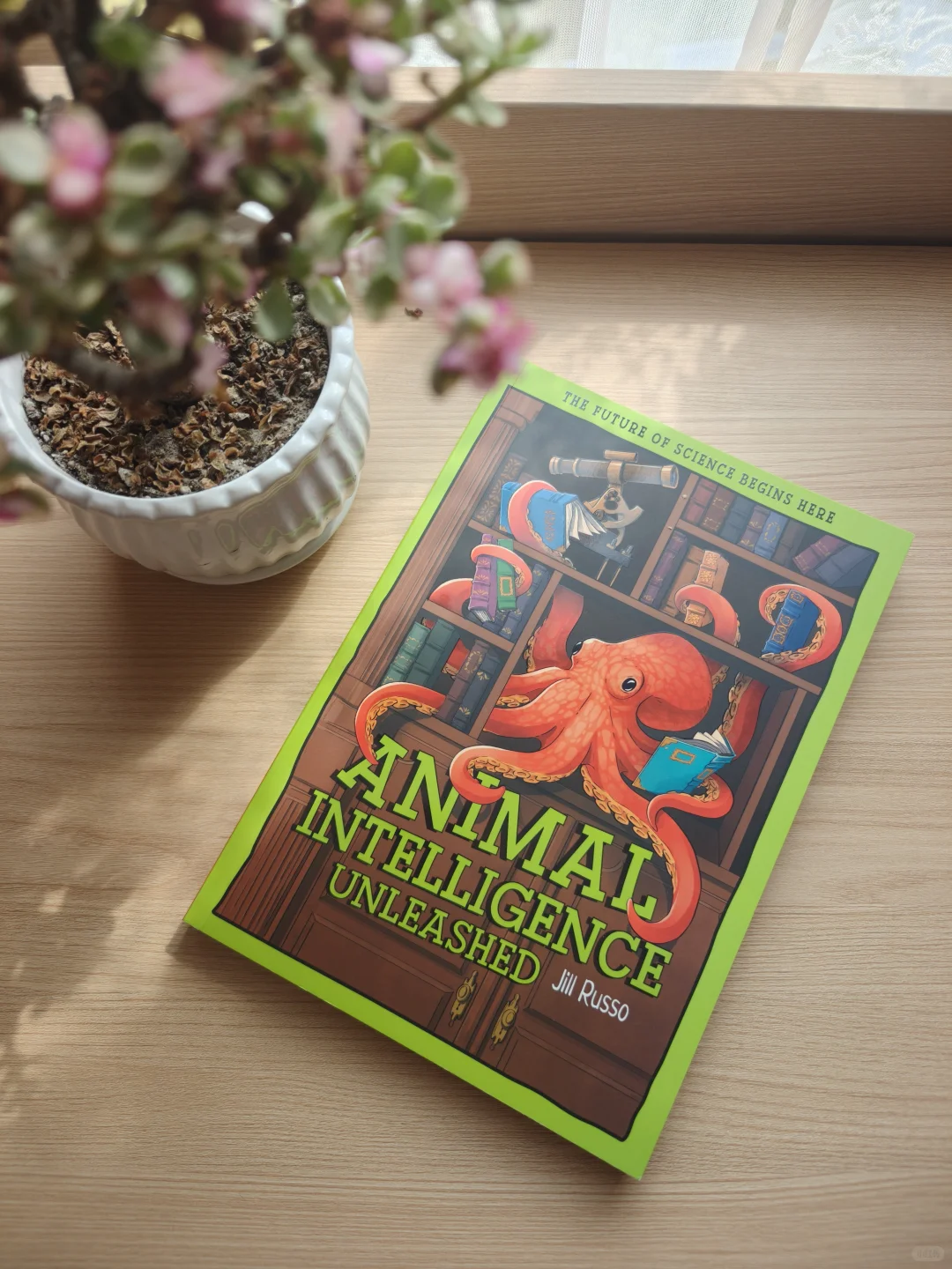 海狸の建筑天赋：看完它的豪宅我承认我酸了