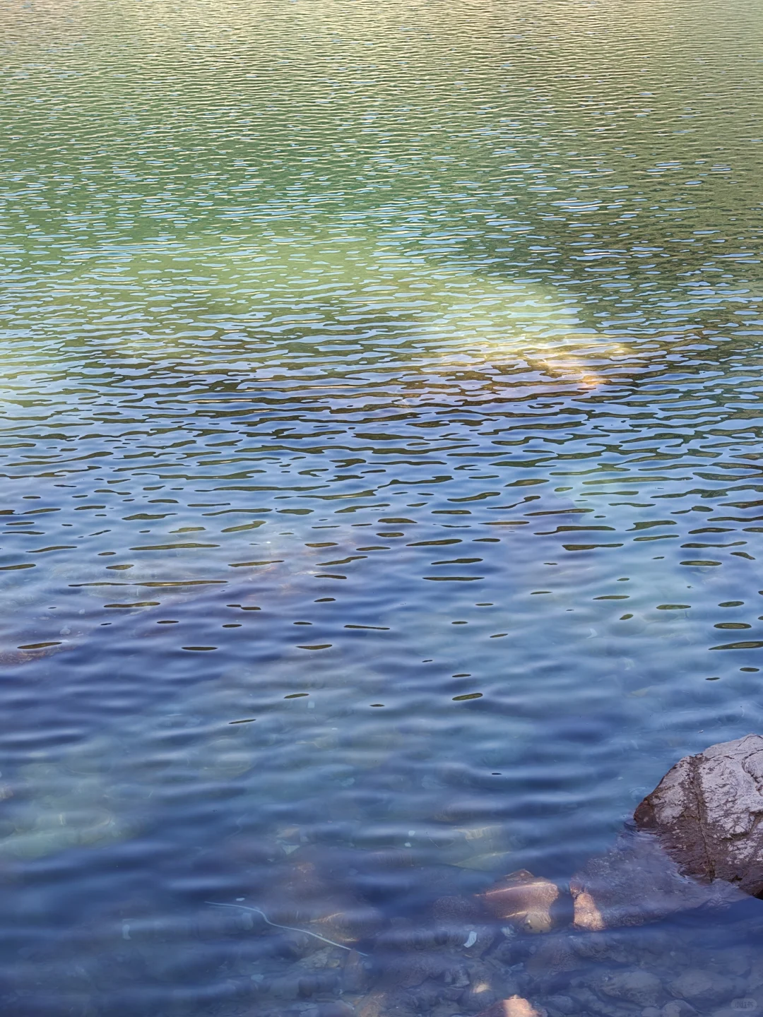 live苏州新坐标，翡翠湖超全打卡攻略?