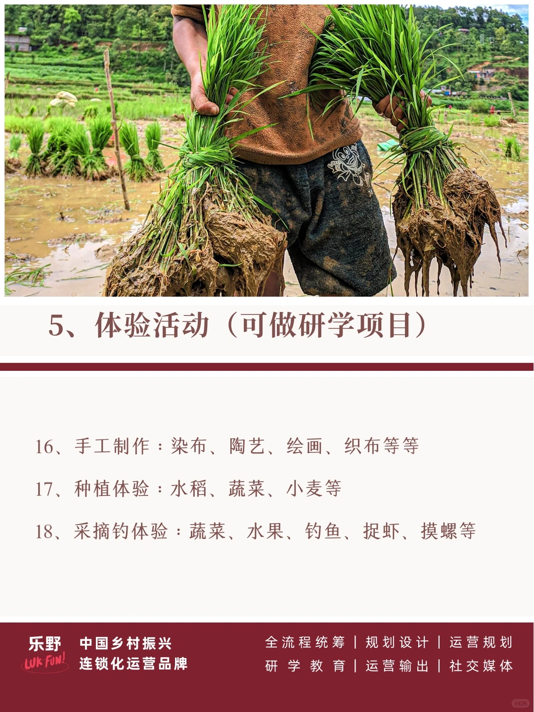 农文旅|在大火的乡村旅游里面挖呀挖呀挖..