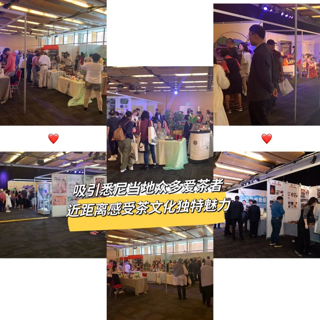 过完了国际茶日，还有悉尼茶博会