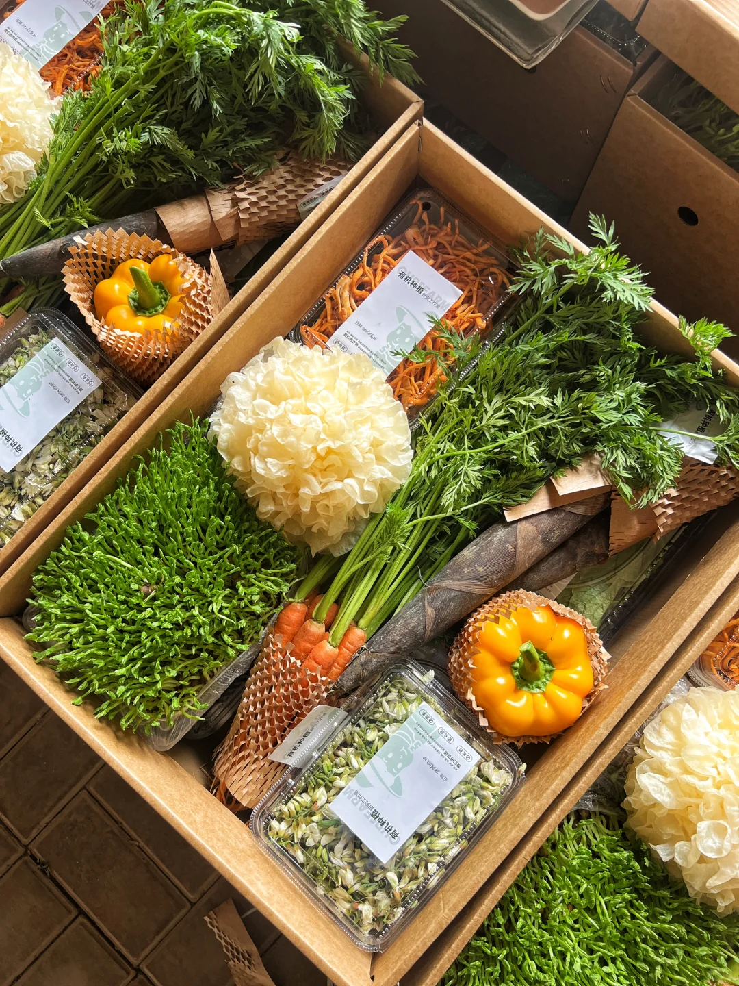 为什么真正有机种植的蔬菜那么贵，值得吃吗