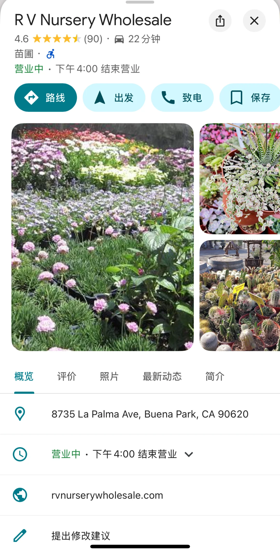 发现一个很好的苗圃