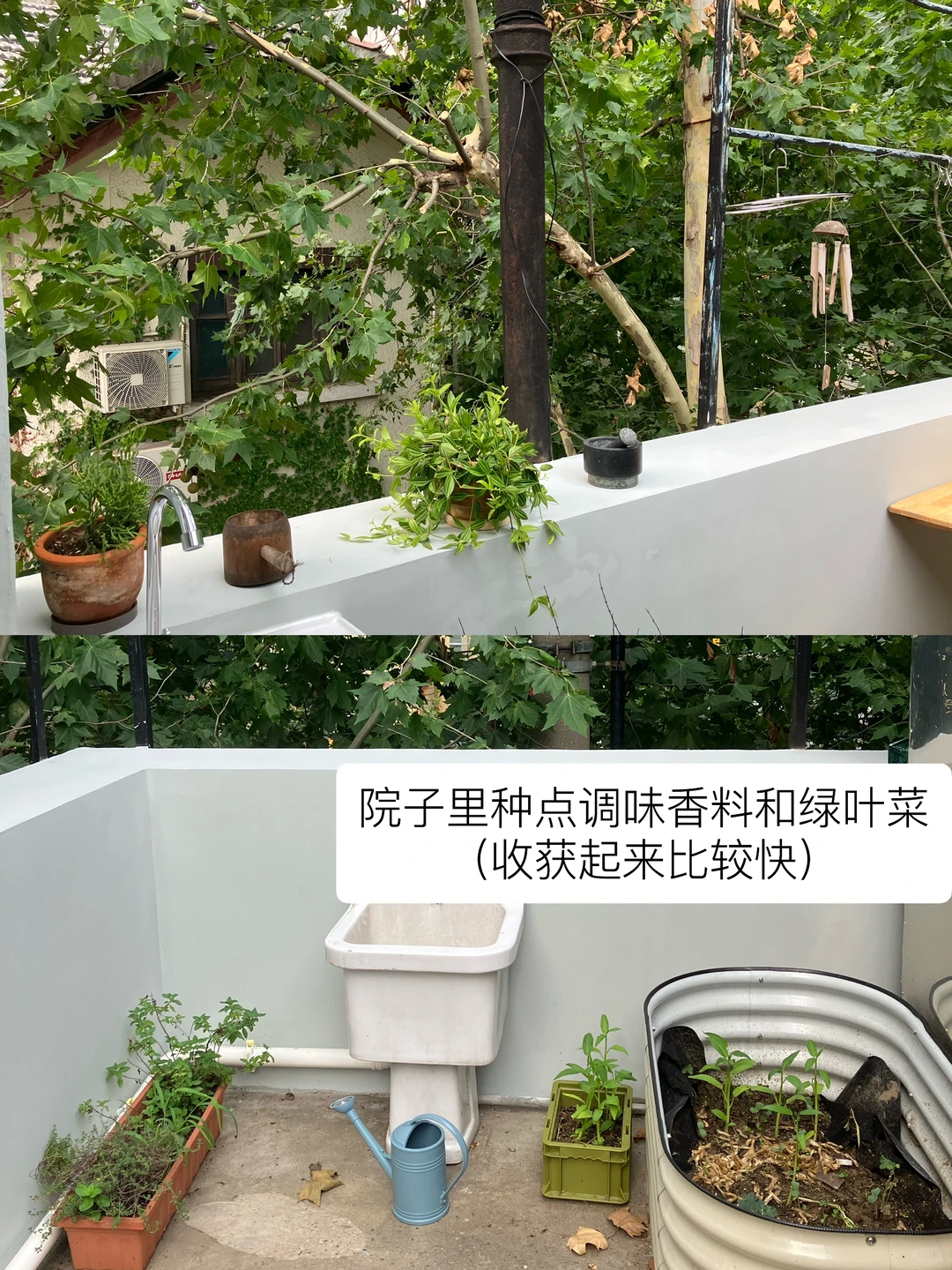 环保主义，家里是什么样子的？??