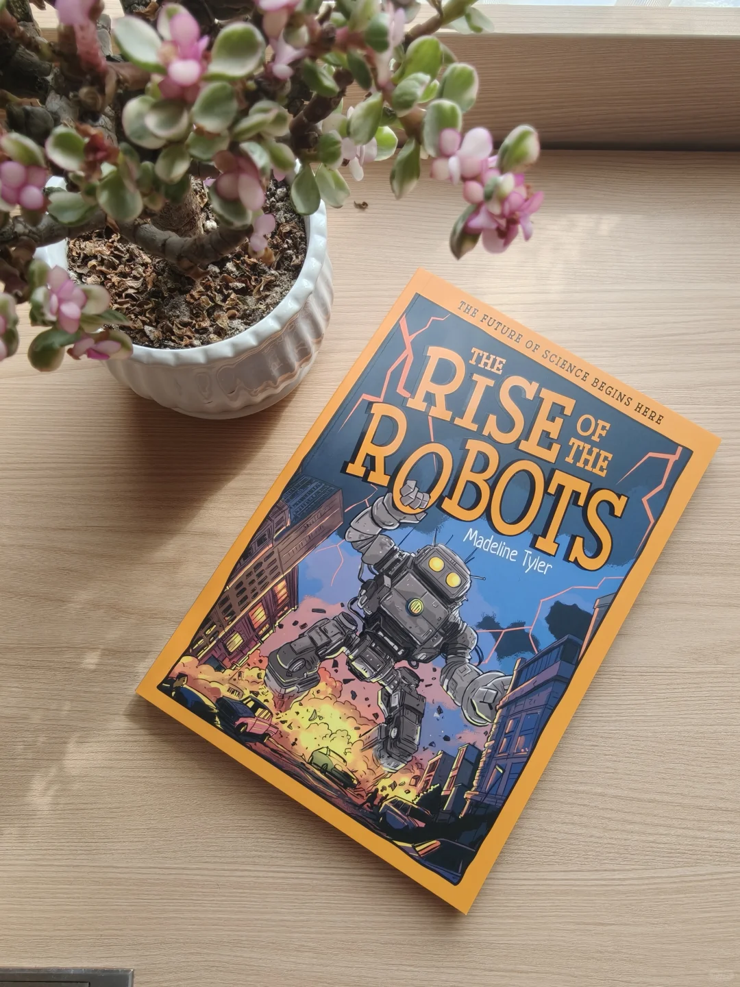 海狸の建筑天赋：看完它的豪宅我承认我酸了