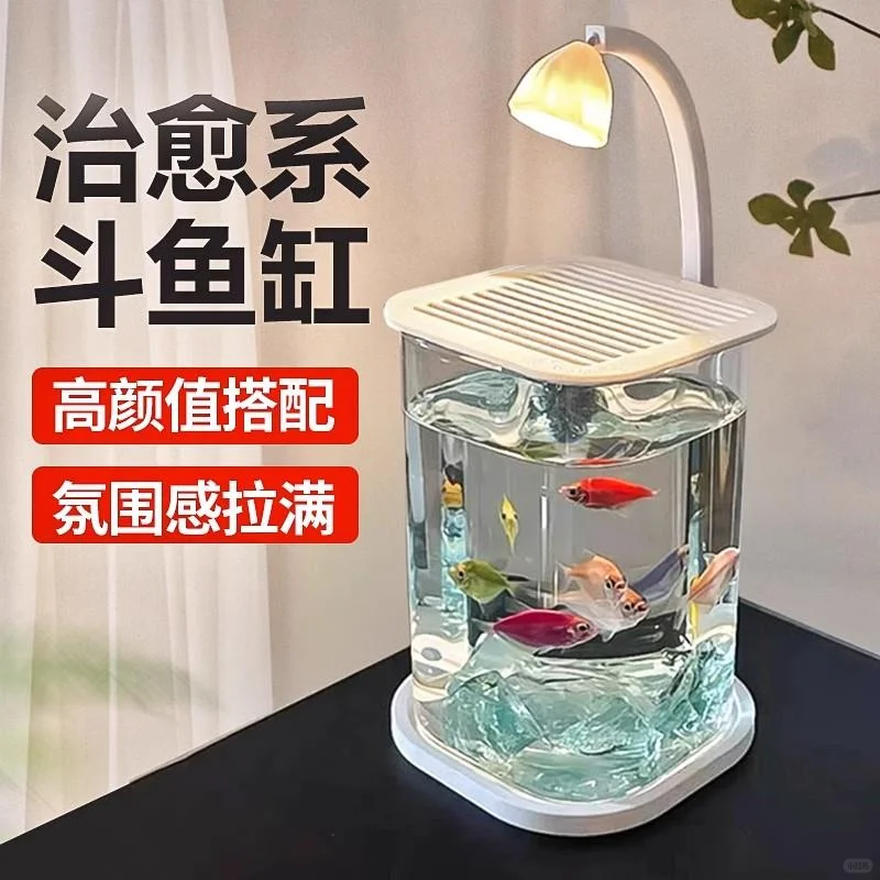 ?玻璃缸+小夜灯，氛围感拉满