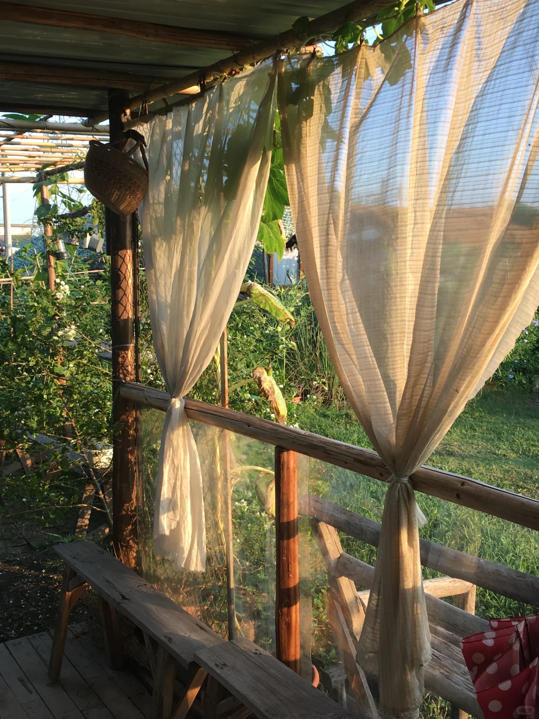 29岁，在广州拥有一个小而美的农场??‍?