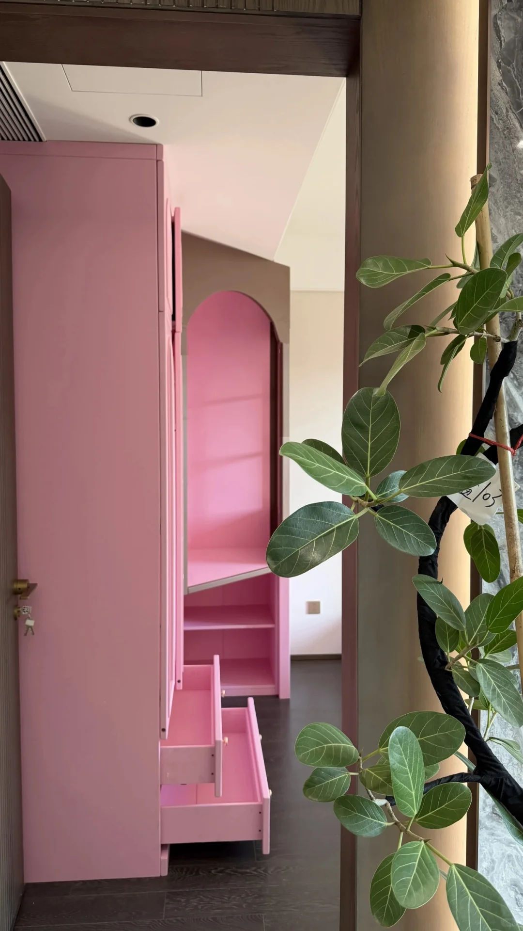 可以抄作业的方案