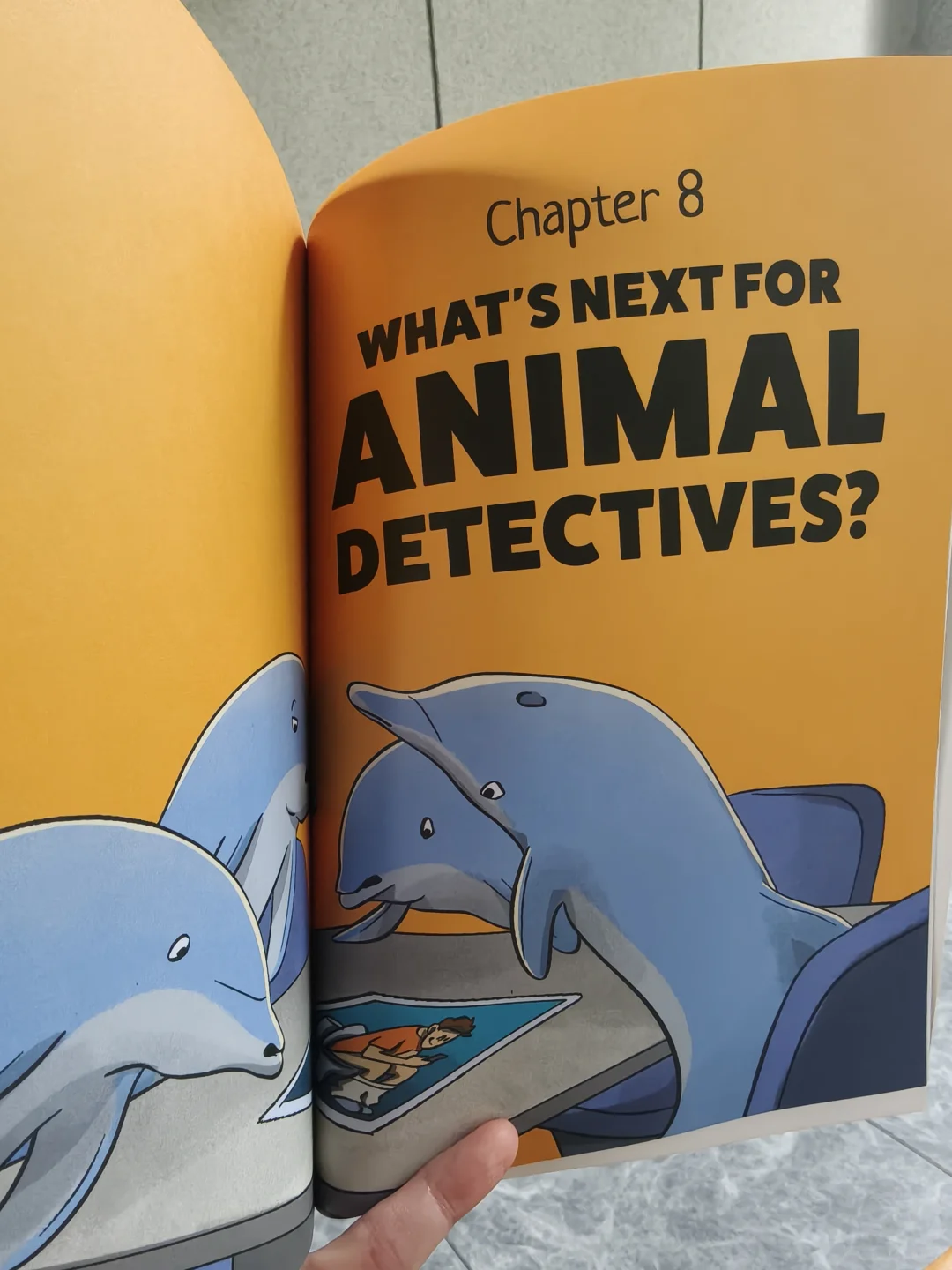 海狸の建筑天赋：看完它的豪宅我承认我酸了