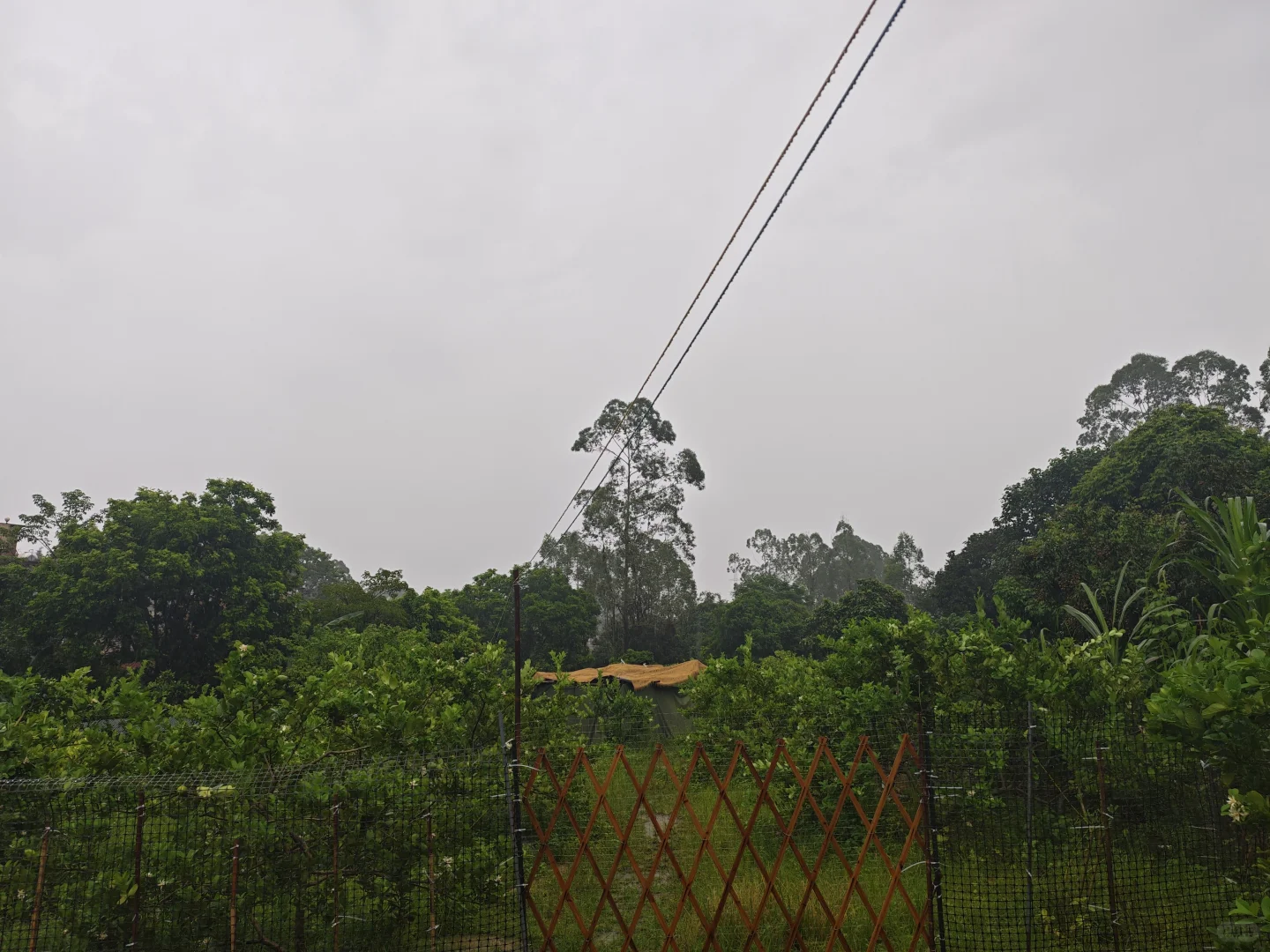 果园出租 农庄转让 着急拆伙出手