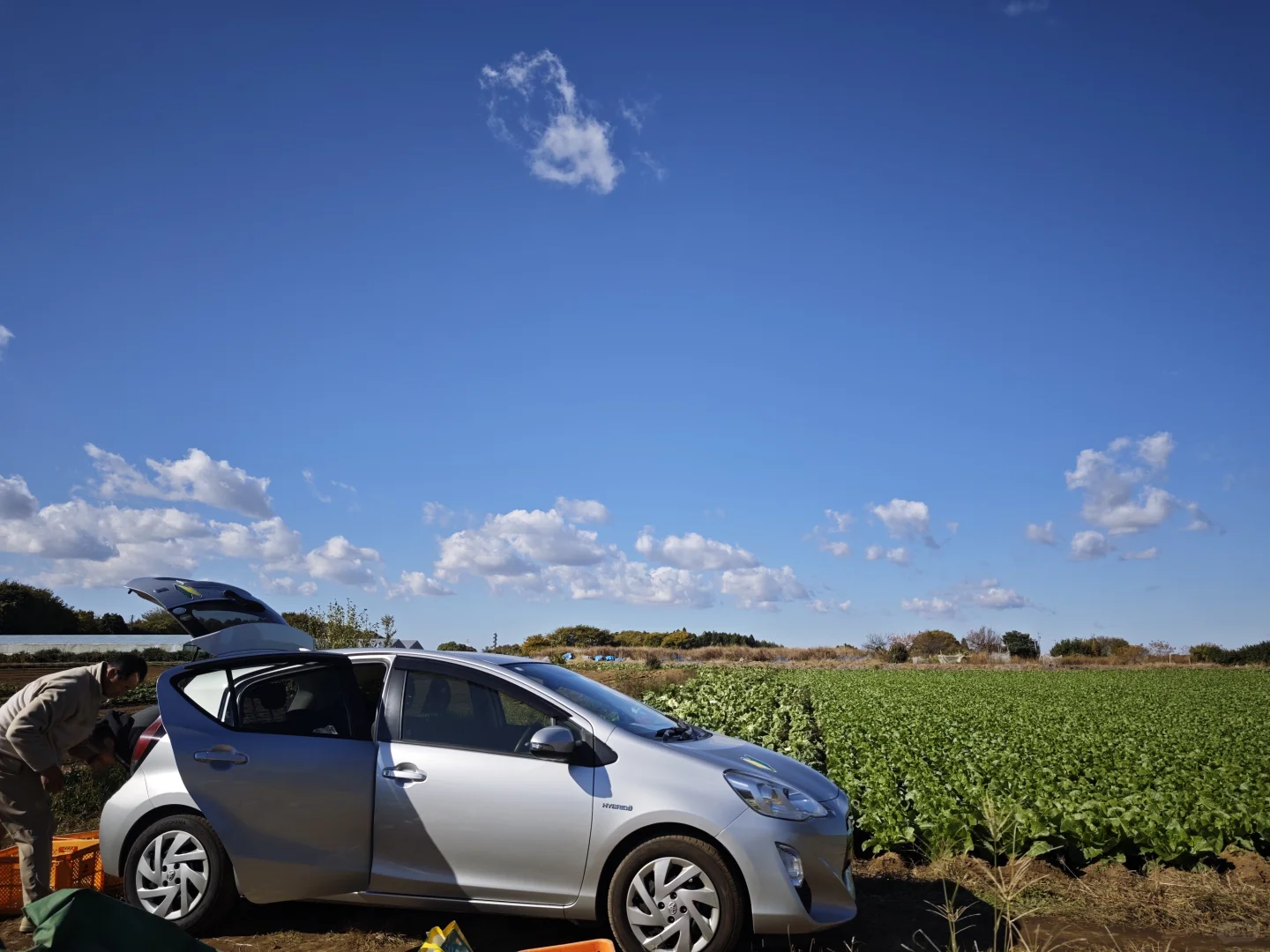 每周末从东京到千叶去自采蔬菜!