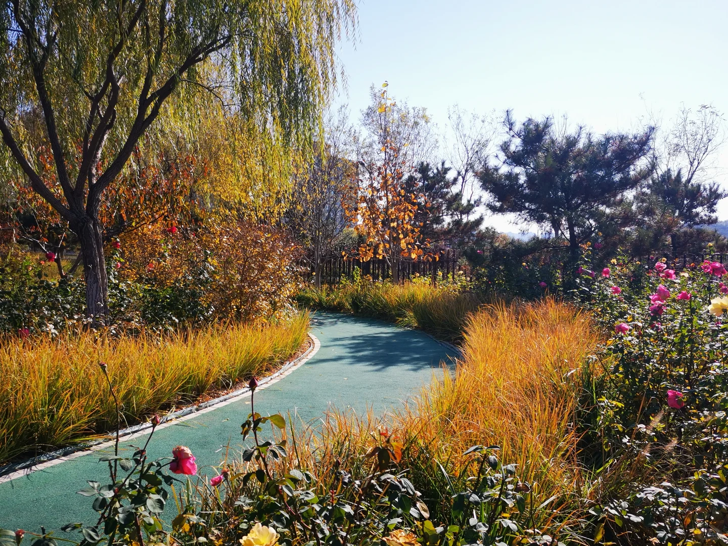 北京市西郊雨洪调蓄工程