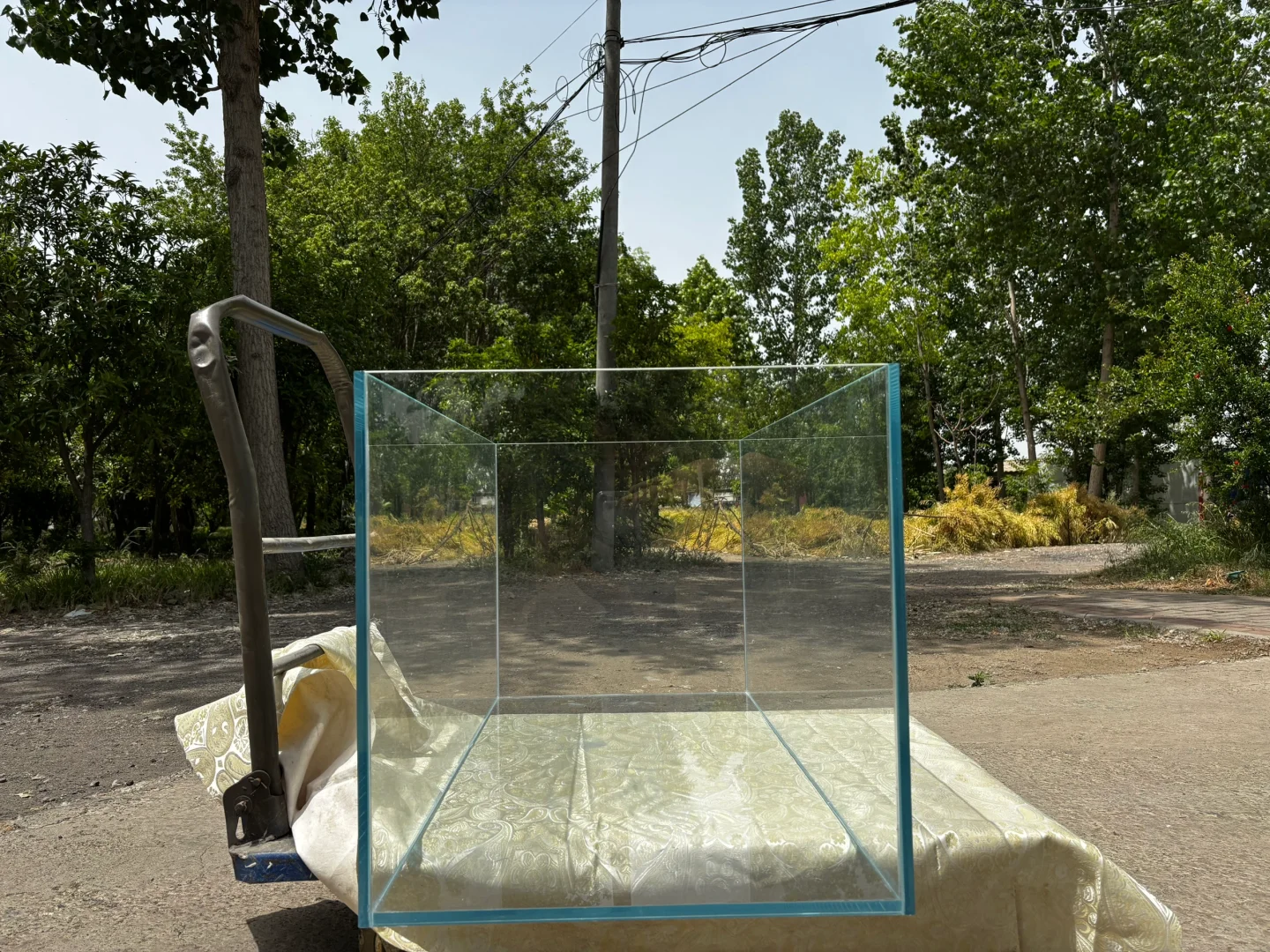 金晶1×50×35特价189