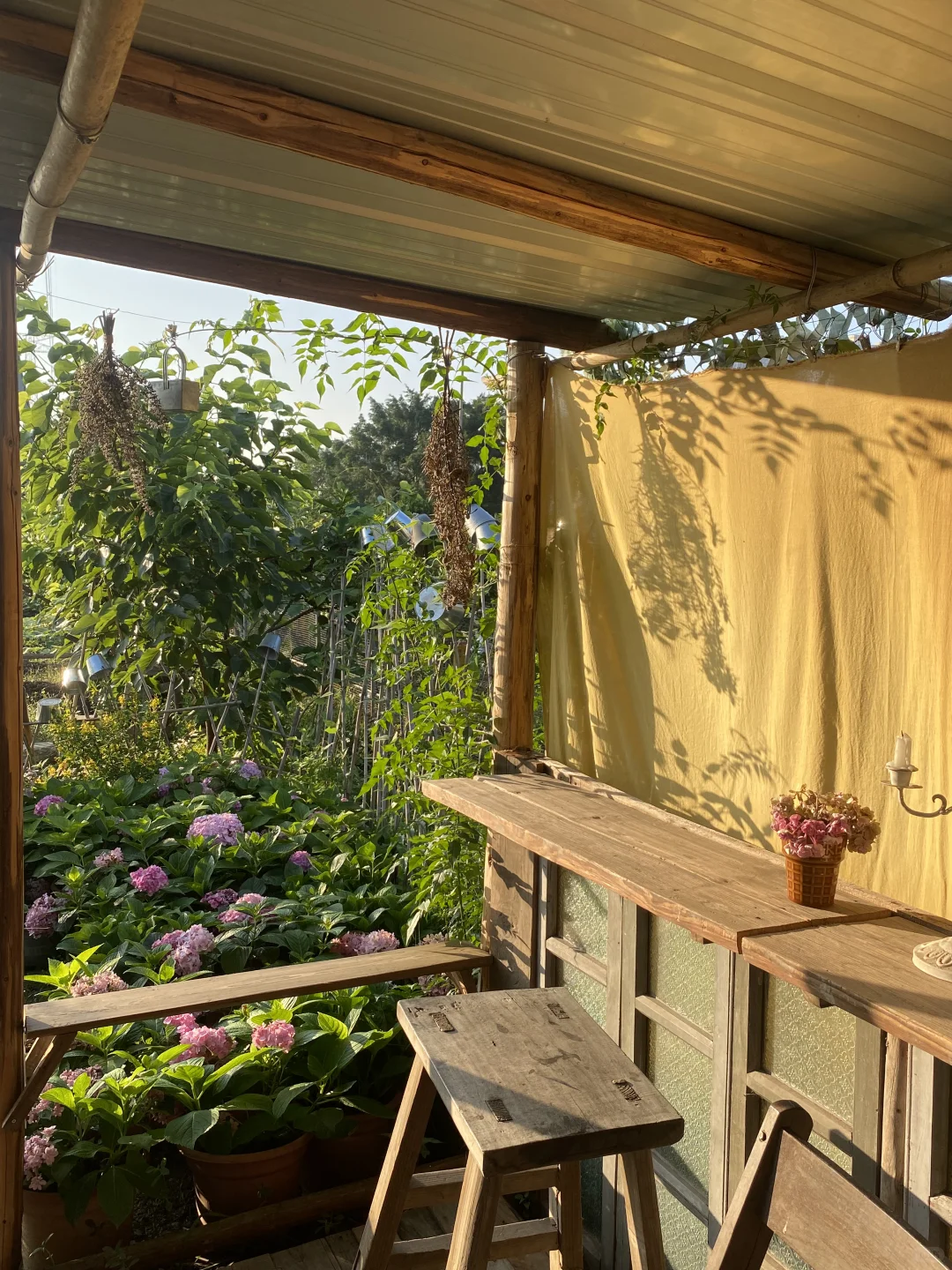 29岁，在广州拥有一个小而美的农场??‍?