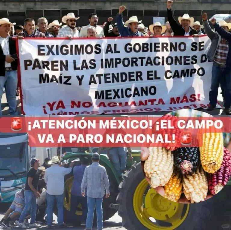 墨西哥物流预警！墨西哥全国运输业大罢工