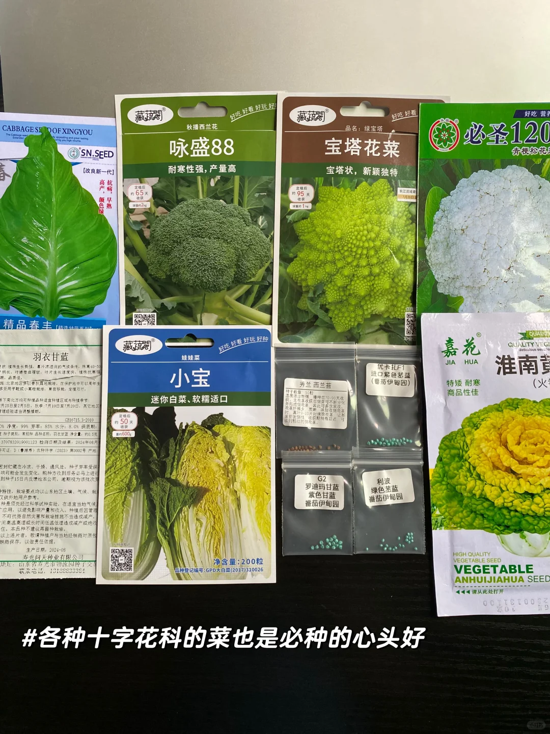 秋播种植记｜报告 秋播的序幕已在8月拉开～?