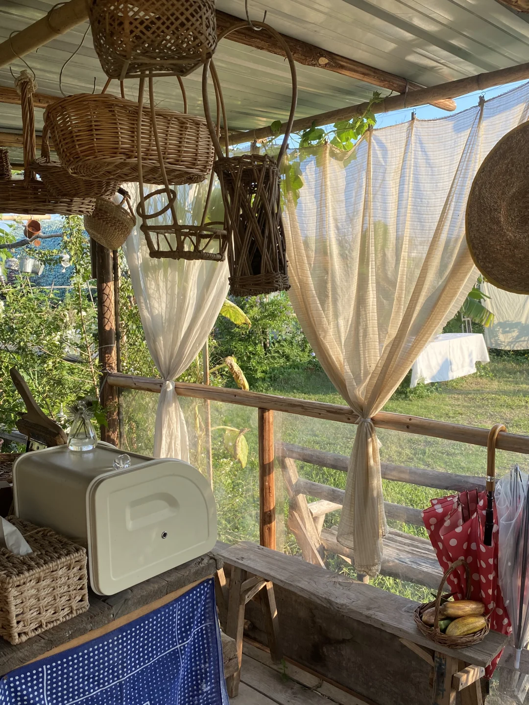 29岁，在广州拥有一个小而美的农场??‍?