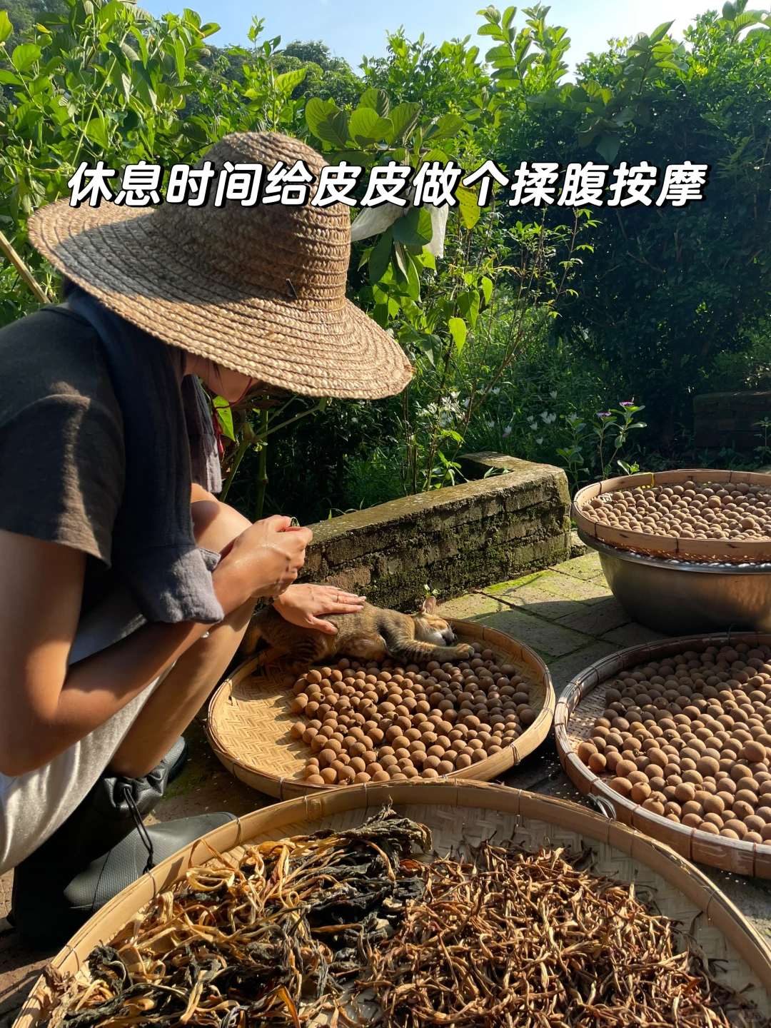 女人真的不能搞农场！