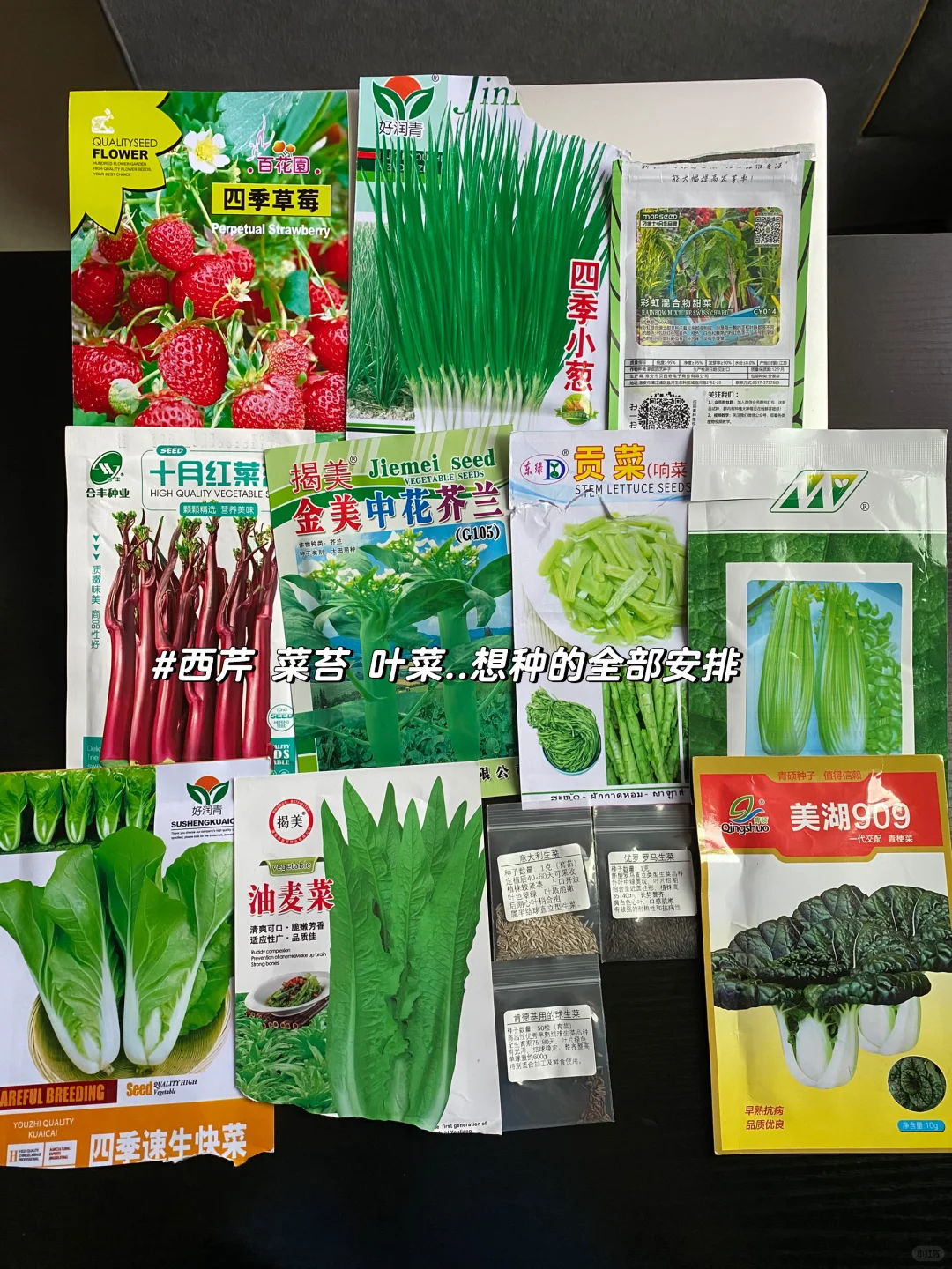 秋播种植记｜报告 秋播的序幕已在8月拉开～?