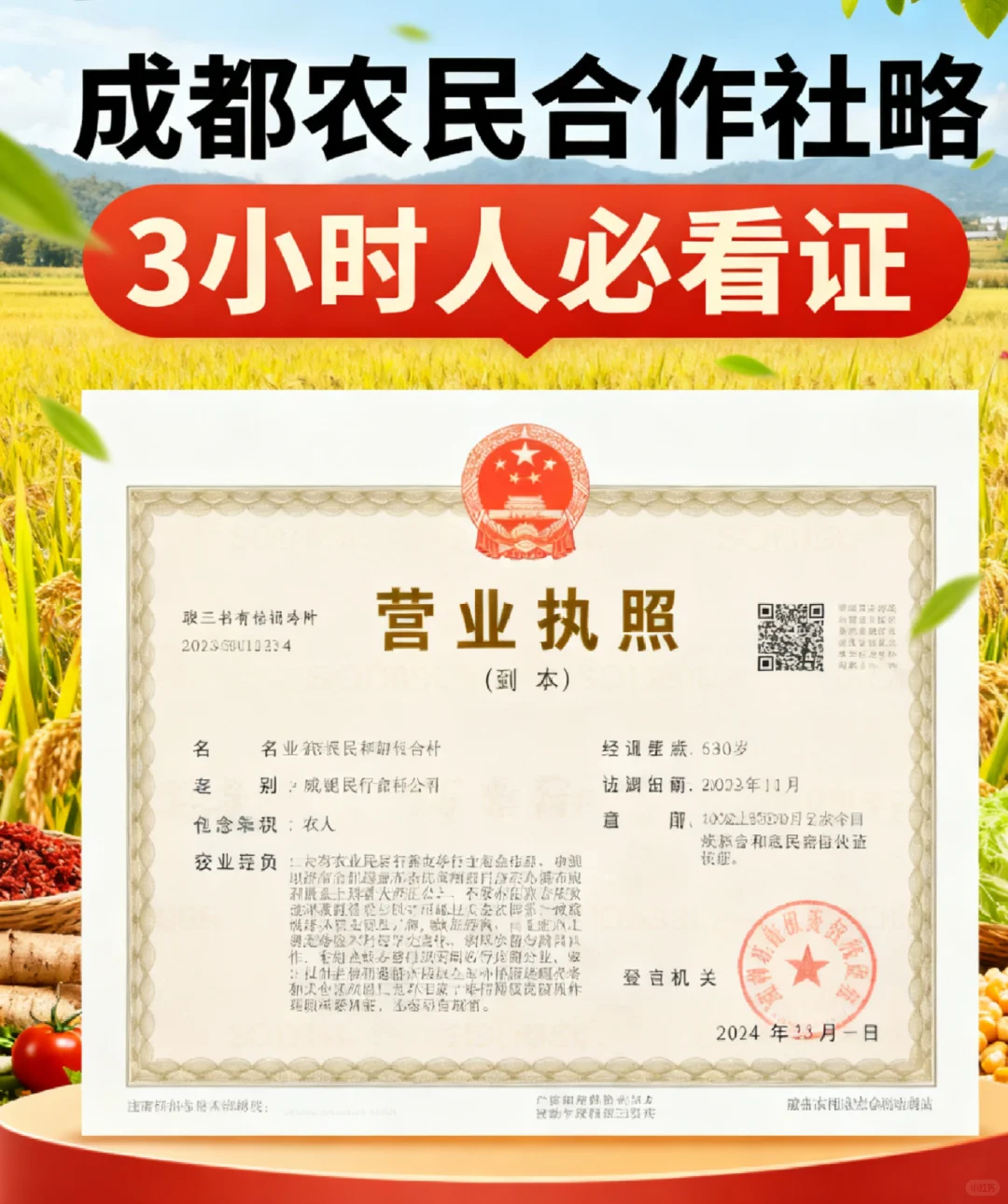 成都农民合作社营业执照攻略?3小时拿证