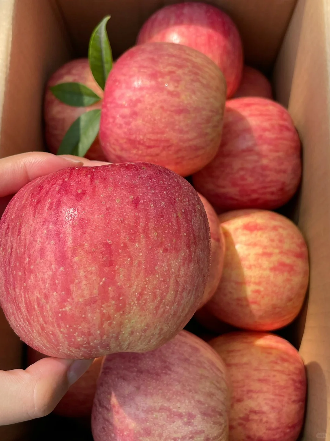 我也不想买呀！但是12.9到手一大箱，好脆甜