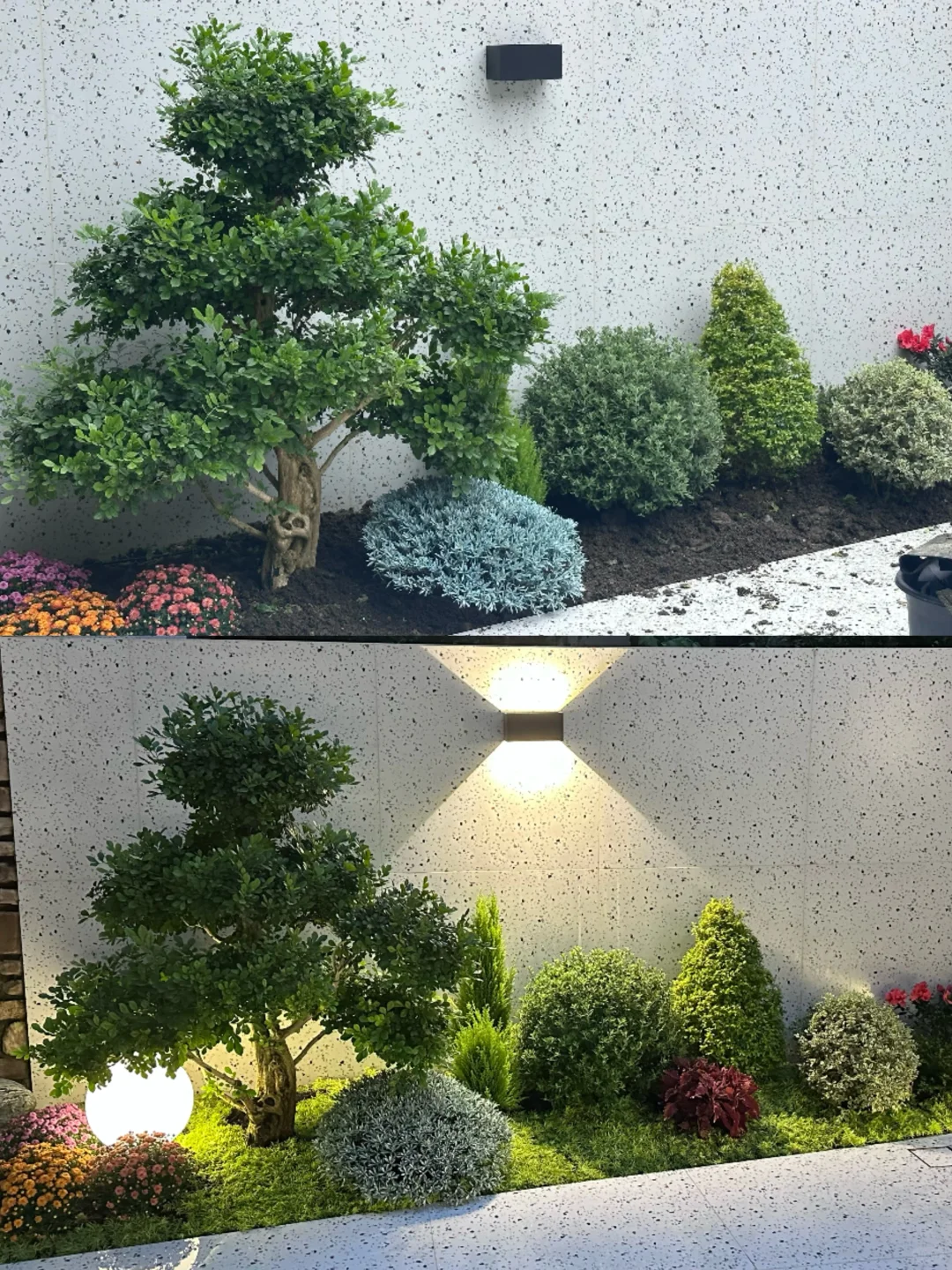 140平的花园，7000元的苗木明细来啦