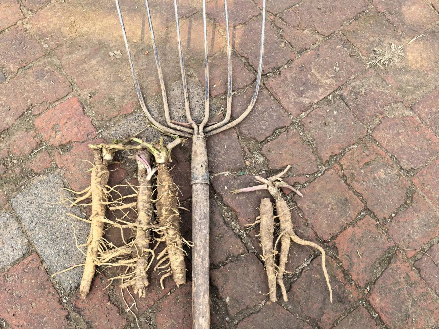 种地让我赚了多少米??