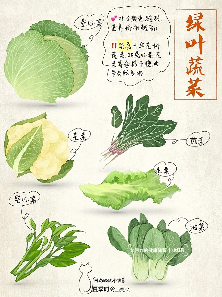 当季蔬菜大全-夏天篇（尾页有彩蛋?）