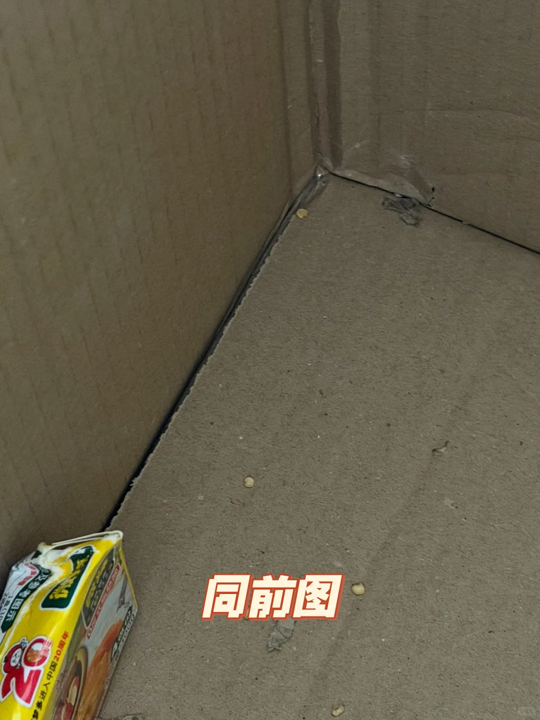 谨慎选择越洋国际水陆路物流?！