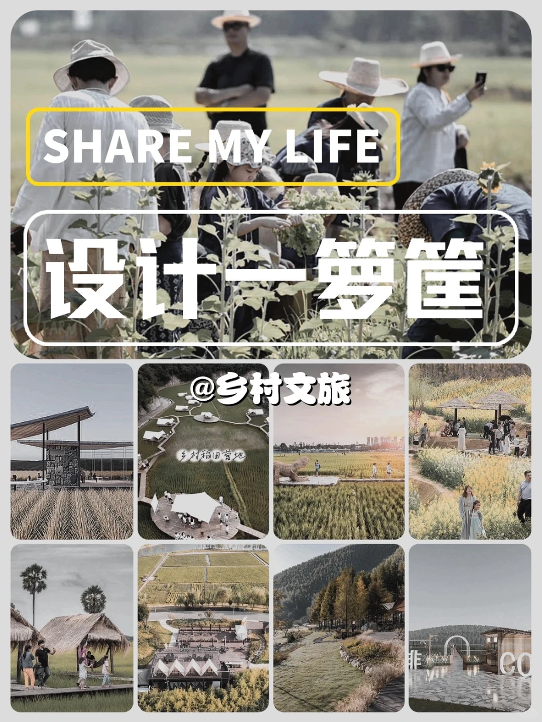 火了很多年的乡村文旅