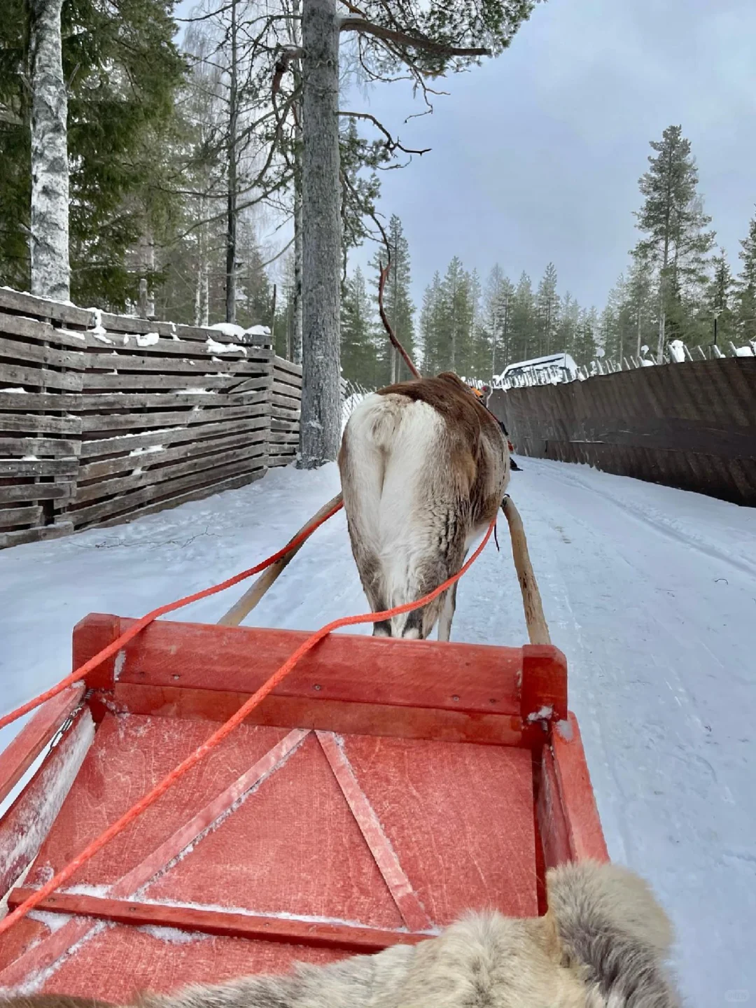 北欧追光：帝王蟹+玻璃屋，一价全含！