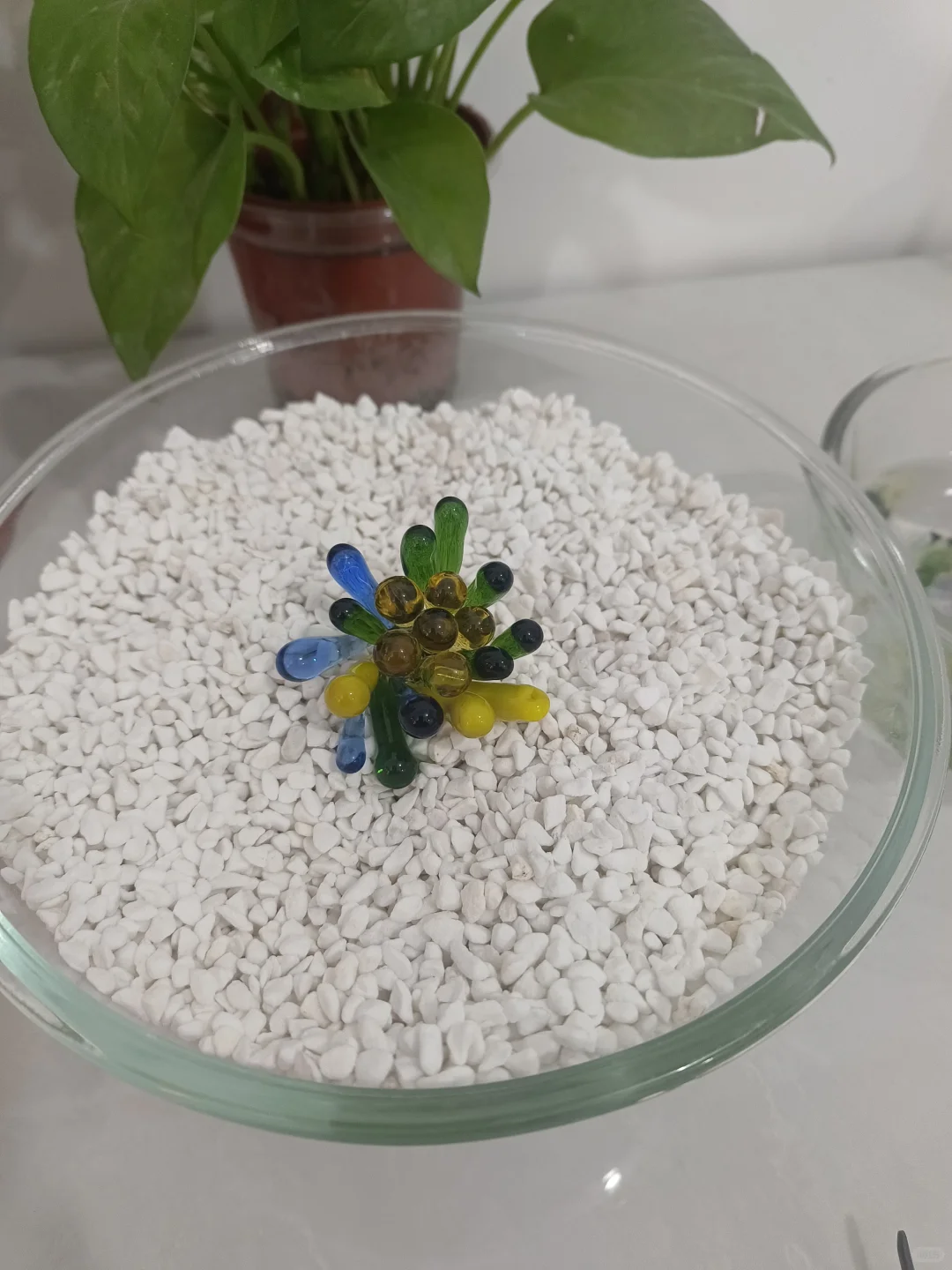 烧玻璃不限量，不限品客作小分享！