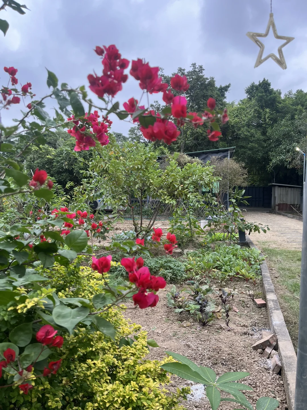 农场招室友！一起种菜撸?躺平呀?