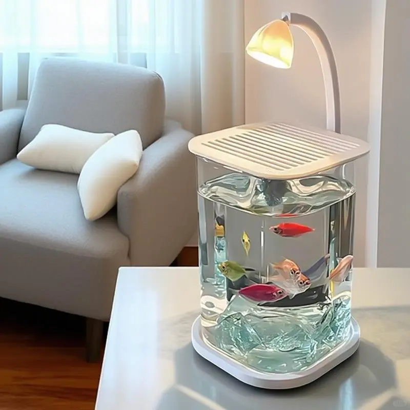 ?玻璃缸+小夜灯，氛围感拉满