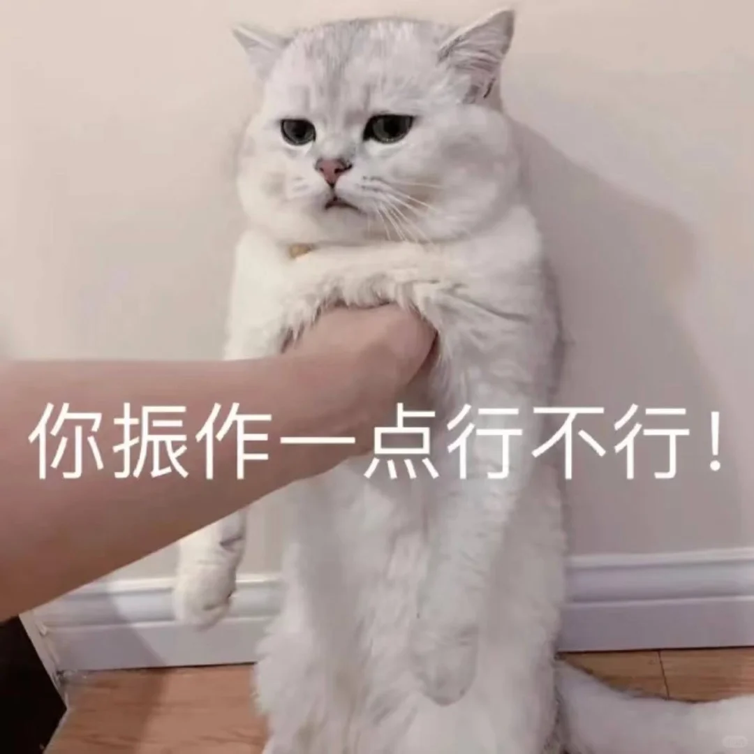 各位同仁，感觉自己好窝囊啊