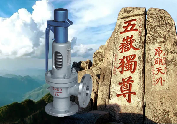 安全阀切换装置