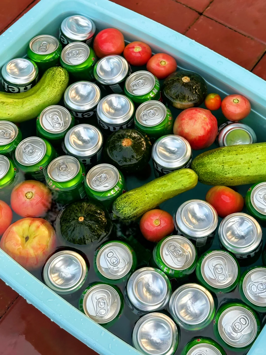 农场生活｜一不小心实现了蔬菜自由！