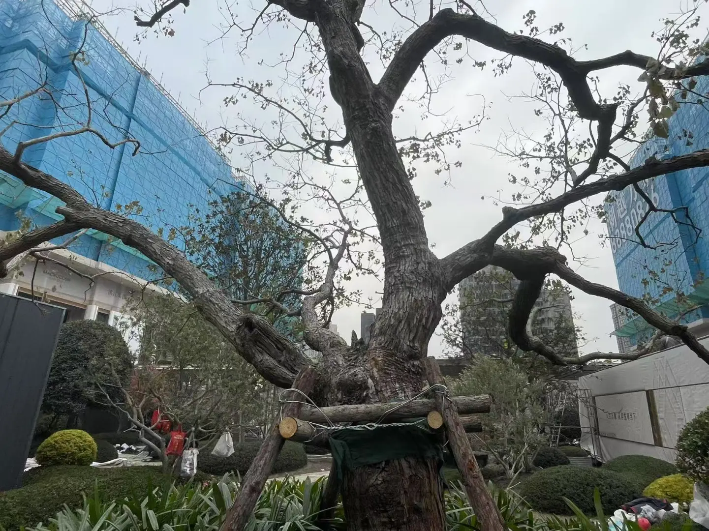 潮越万象府样板间马上开放