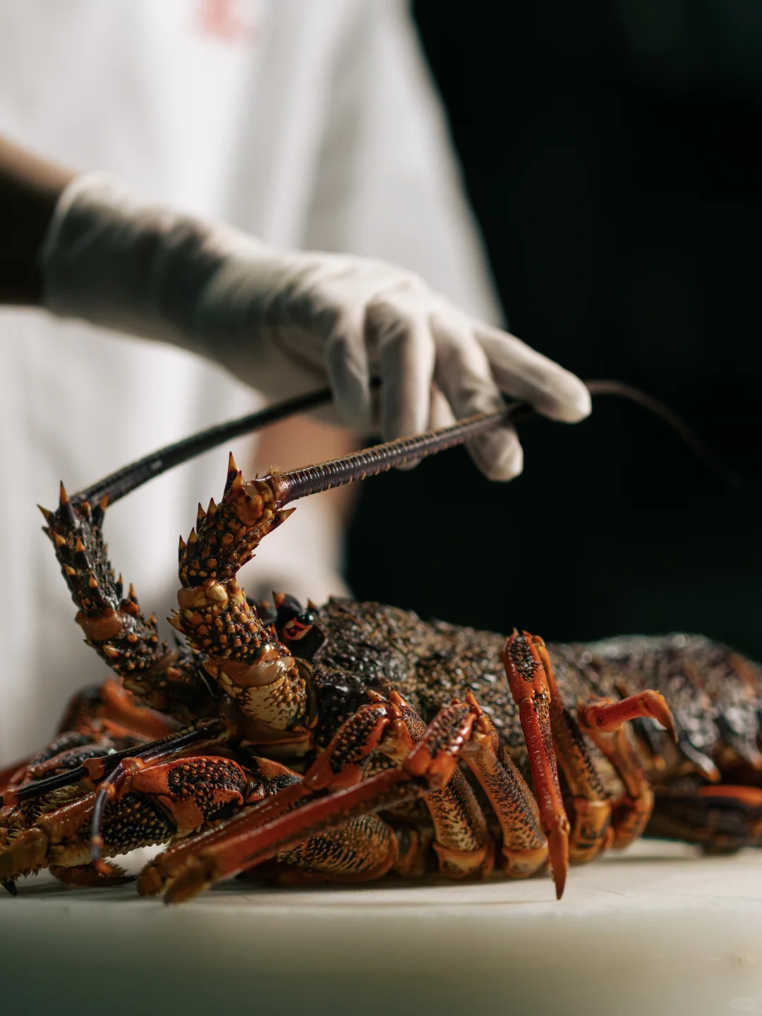 运输流程新升级?完成清关手续只需3小时？