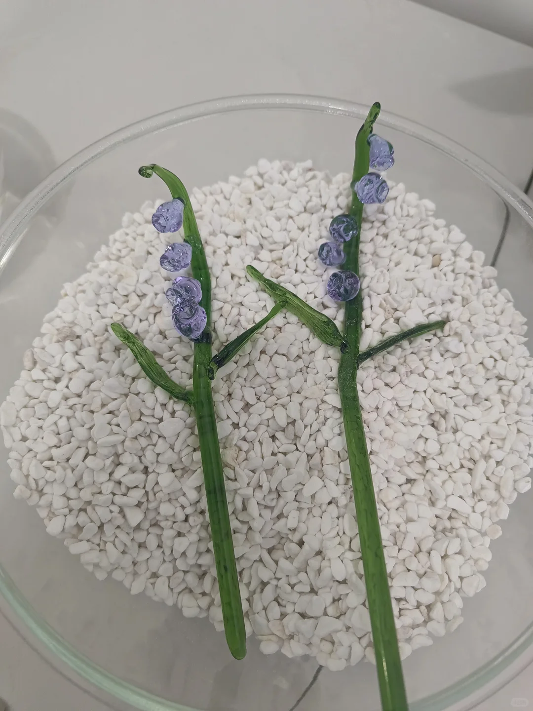 烧玻璃不限量，不限品客作小分享！