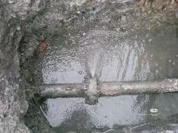 温哥华房屋漏水急修