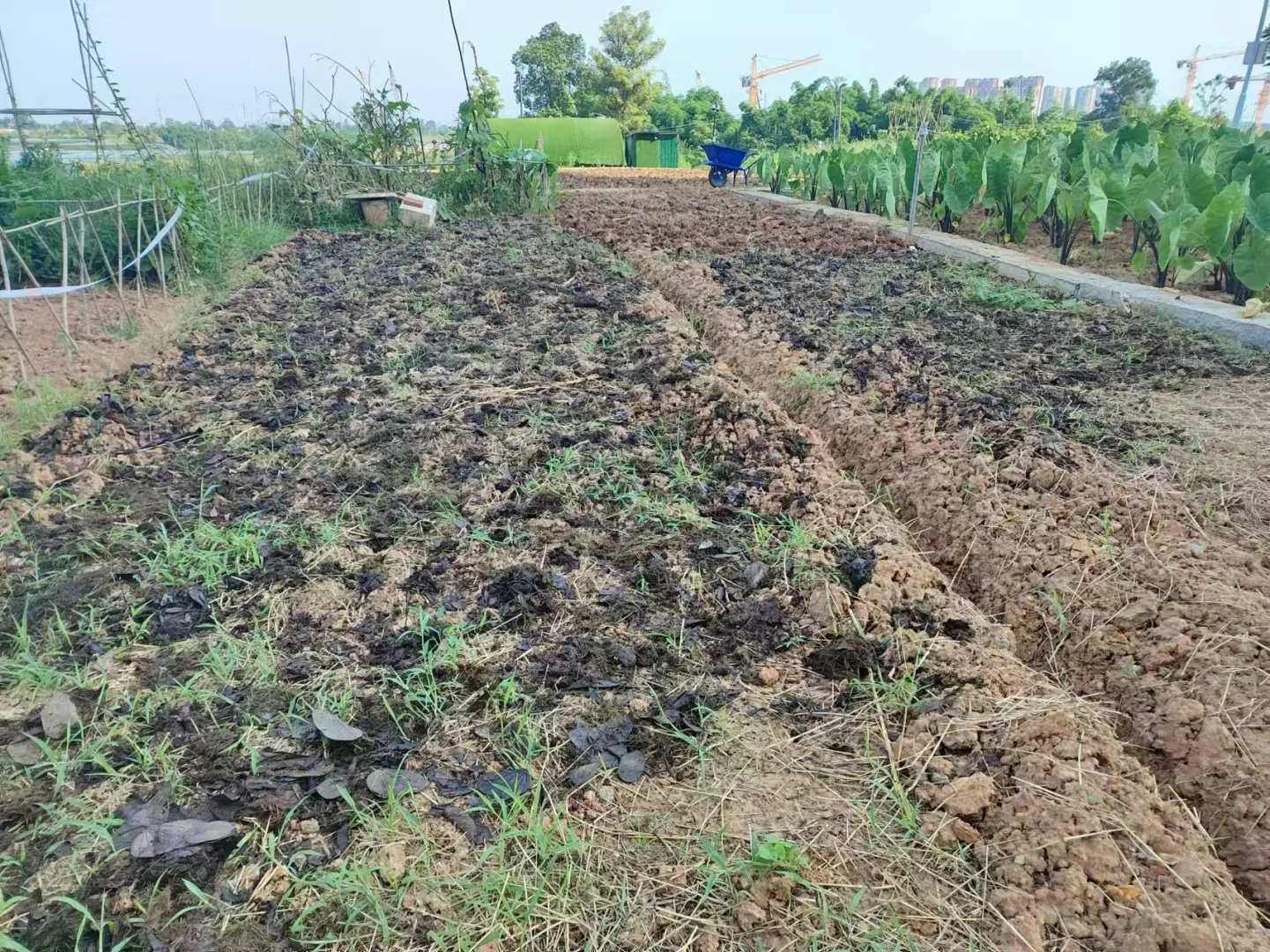 ?堆肥小妙招，生活垃圾变宝藏?