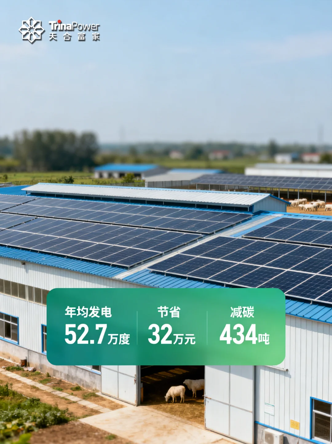 「光伏 + 养殖」解锁农业新玩法！