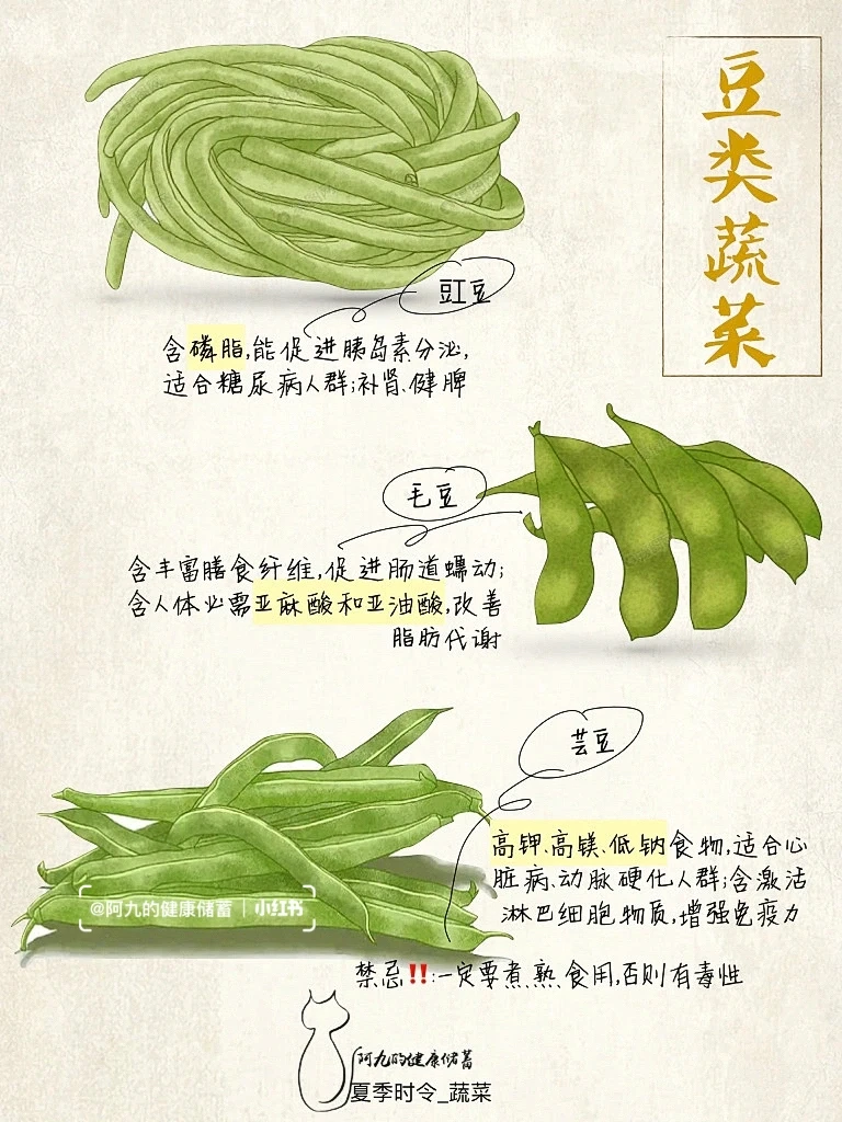 当季蔬菜大全-夏天篇（尾页有彩蛋?）