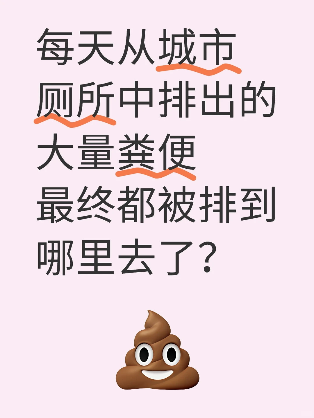 每天从城市厕所中排出的大量粪便最终都被排