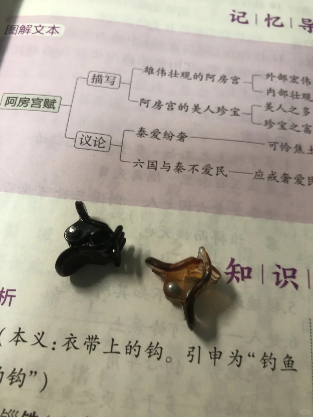 高考这种小发夹可带！